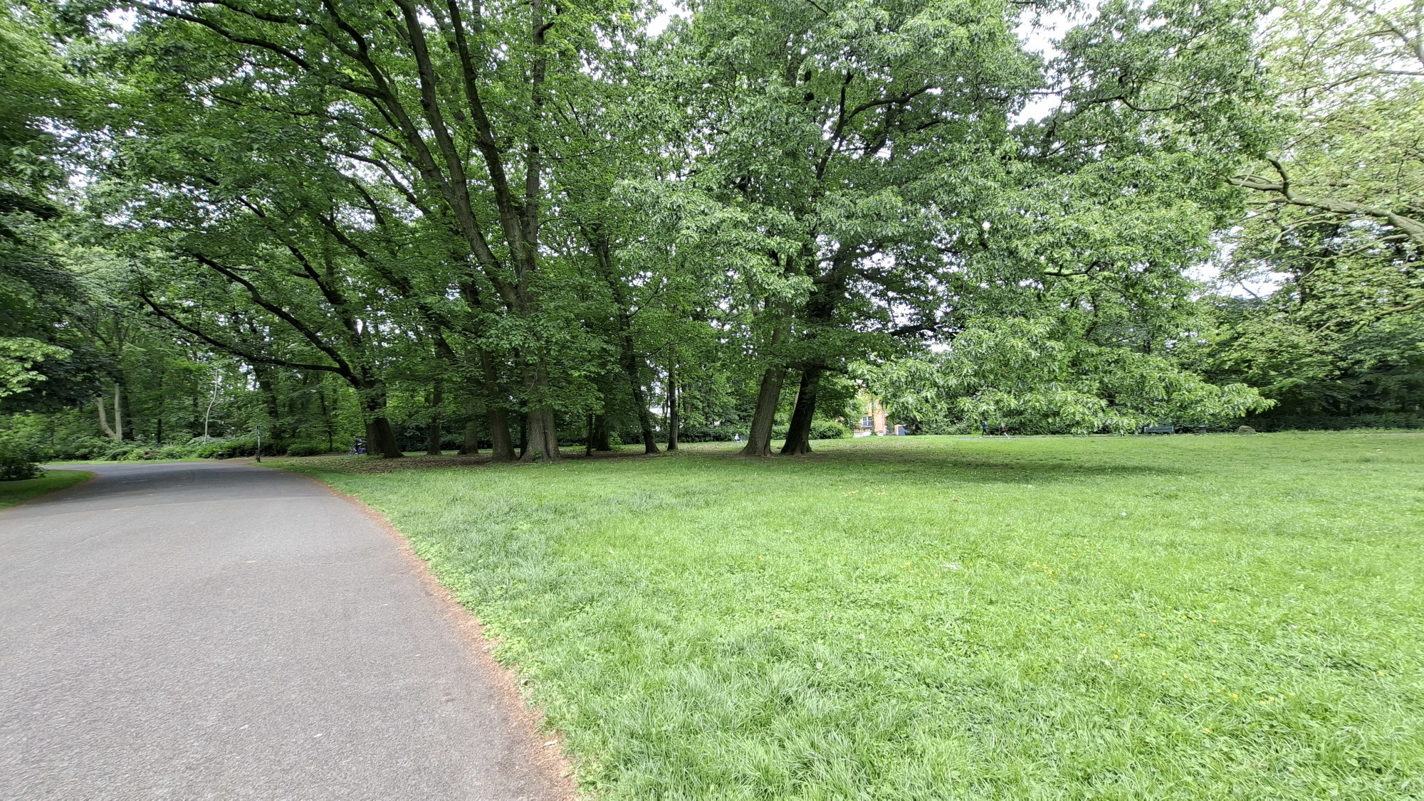 Kölner Stadtwald Braunsfeld